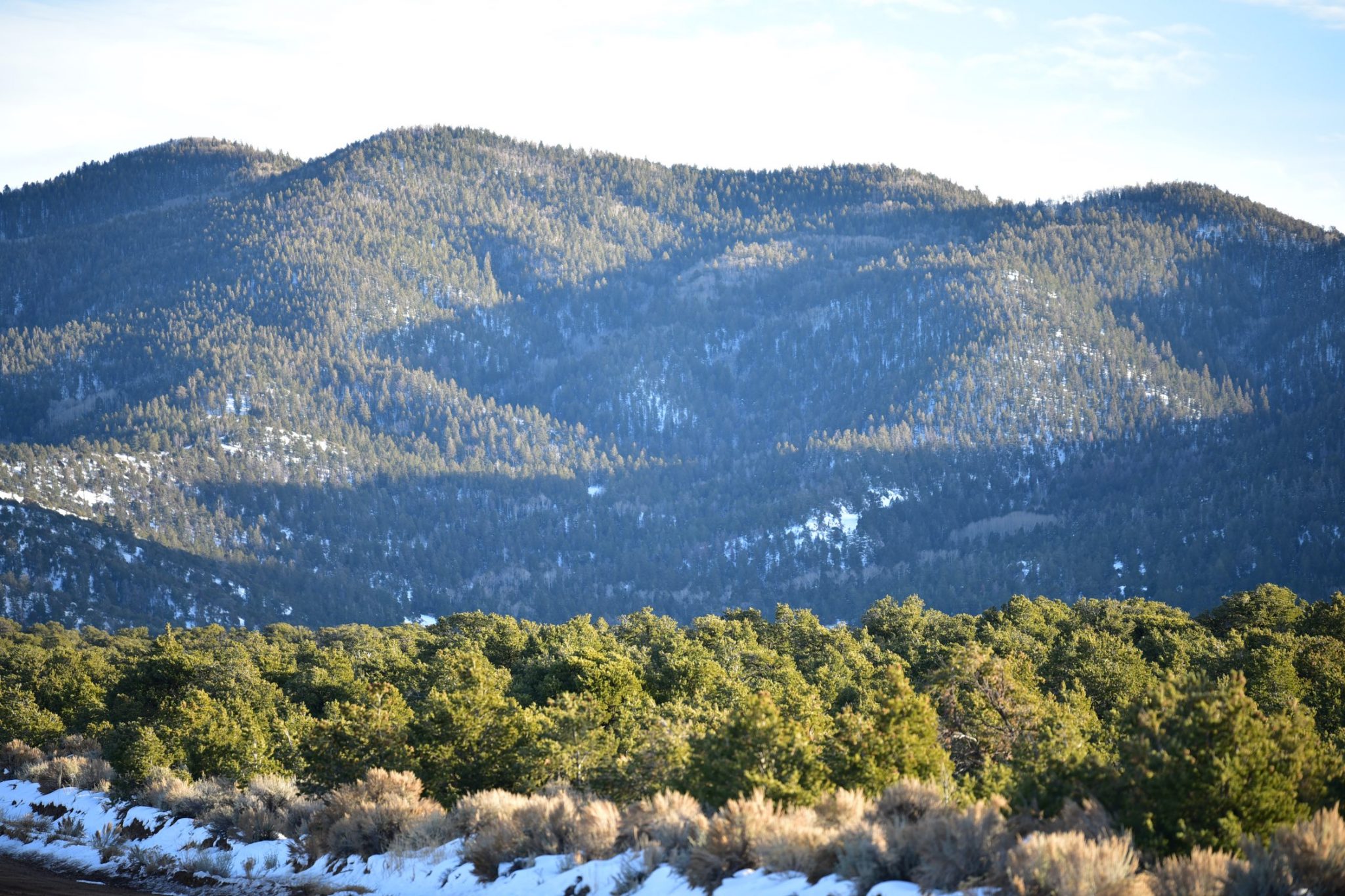 Photo_32 Westward Land